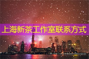 在上海追寻未知目标的旅程
